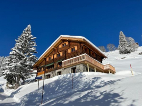 Sunnehuesli Braunwald